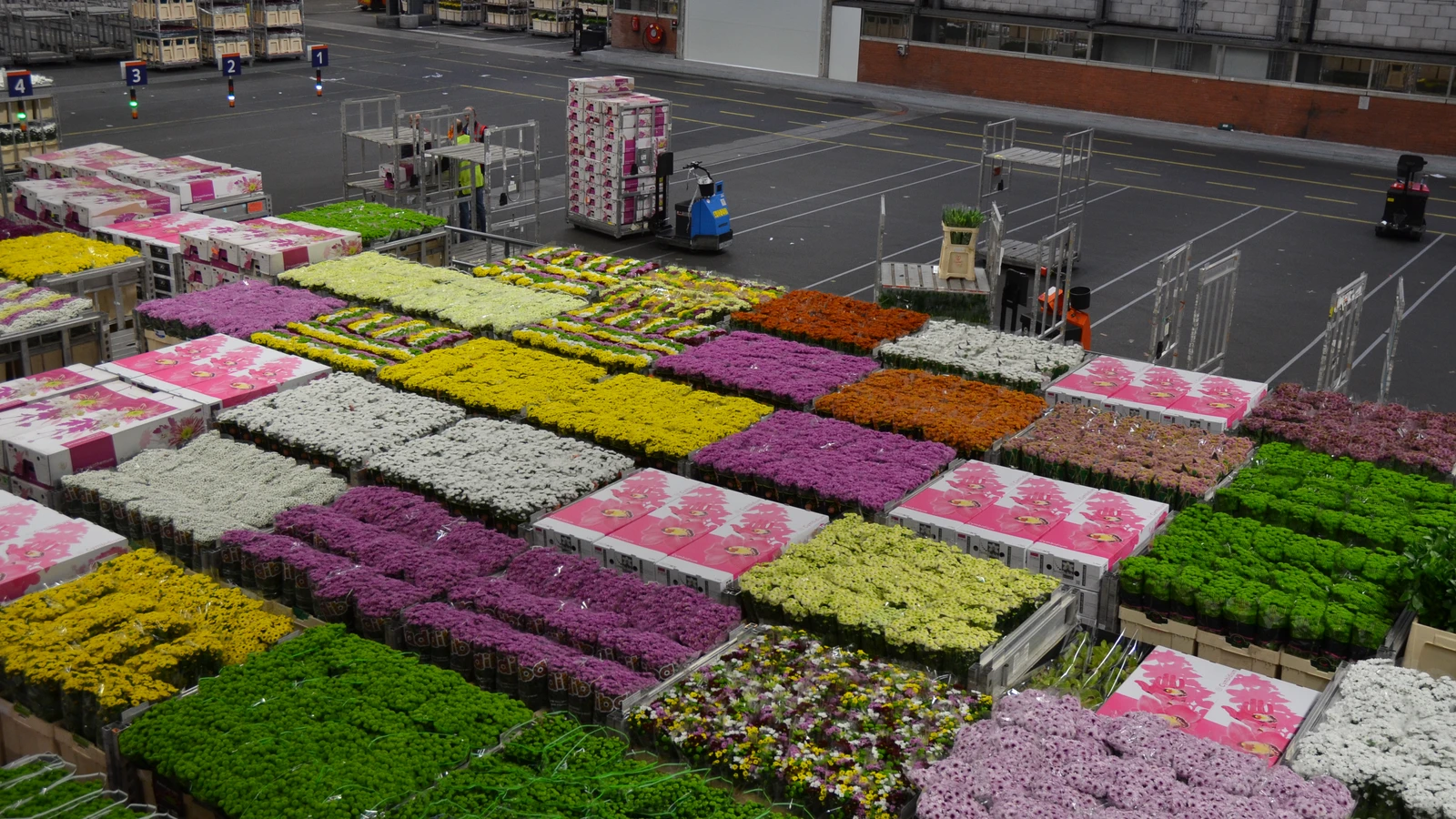 Archive photograph of colourful cut flowers on distribution trolleys inside the Aalsmeer flower auction in the Netherlands, February2014.
